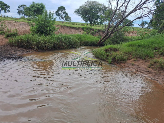 Imagem Fazenda à Venda, 117 m² em União De Minas Imagem Fazenda à Venda, 117 m² em União De Minas