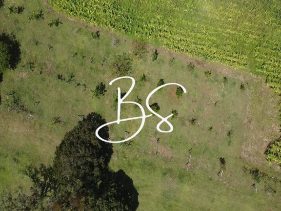 Imagem Imóvel com 2 Quartos à Venda,  em Lago São Bernardo - São Francisco De Paula