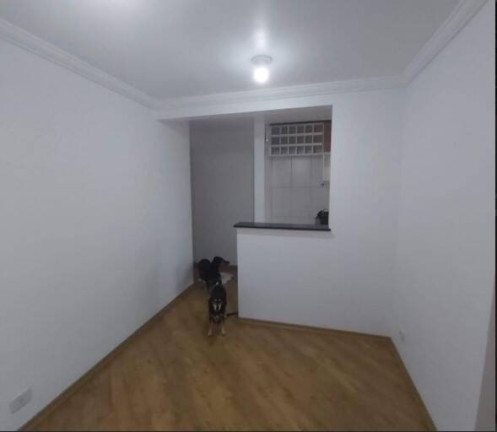 Imagem Apartamento com 2 Quartos à Venda, 46 m² em Jardim Paris - São Paulo