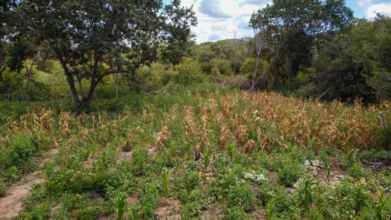 Imóvel à Venda, 169 m² em Area Rural De Morpara - Morpara