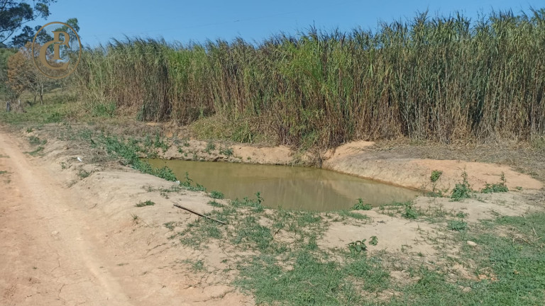 Imagem Chácara com 3 Quartos à Venda, 300 m² em Lageado - Paraibuna Imagem Chácara com 3 Quartos à Venda, 300 m² em Lageado - Paraibuna
