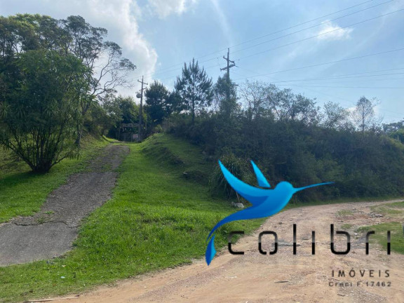Imagem Terreno à Venda, 730 m² em Quatro Pinheiros - Mandirituba Imagem Terreno à Venda, 730 m² em Quatro Pinheiros - Mandirituba