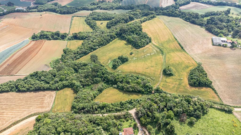 Imagem Terreno à Venda, 145.200 m² em Vila Dom Pedro Ii - Campo Largo