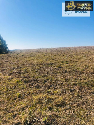 Imagem Imóvel com 1 Quarto à Venda, 2.880.000 m² em Centro - Herval