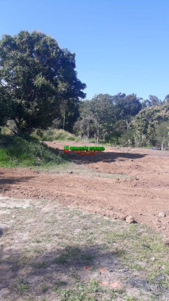 Terreno à Venda, 7.500 m² em Putim - São José Dos Campos