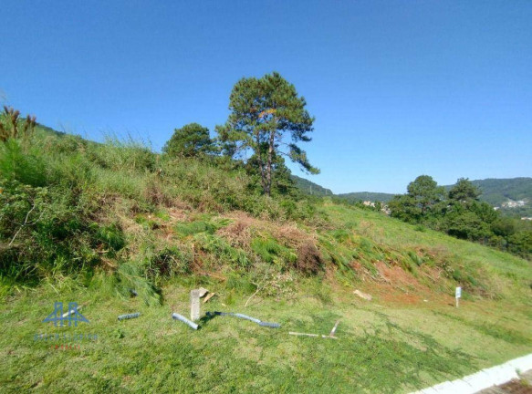 Imagem Terreno à Venda, 450 m² em Itacorubi - Florianópolis Imagem Terreno à Venda, 450 m² em Itacorubi - Florianópolis