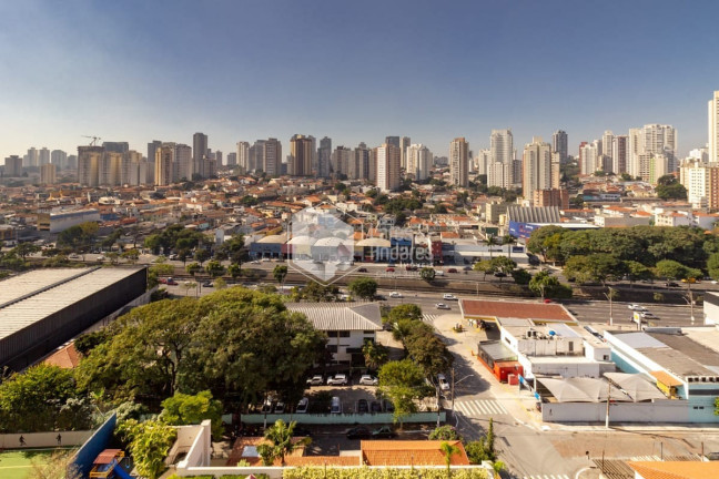 Imagem Apartamento com 3 Quartos à Venda, 140 m² em Bosque Da Saúde - São Paulo Imagem Apartamento com 3 Quartos à Venda, 140 m² em Bosque Da Saúde - São Paulo