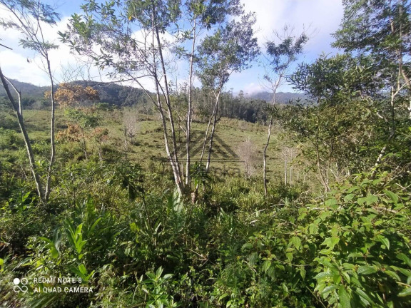 Imagem Chácara à Venda, 11 m² em Centro - Miracatu Imagem Chácara à Venda, 11 m² em Centro - Miracatu