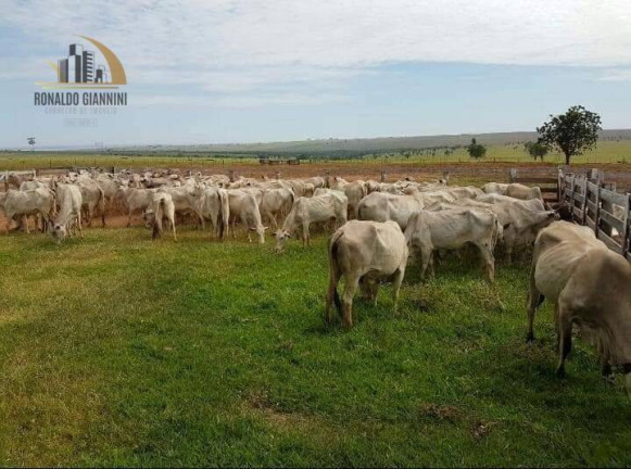 Fazenda à Venda, 22.022.000 m² em Distrito Industrial - Presidente Prudente