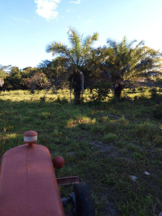 Imagem Fazenda à Venda, 237 m² em Zona Rural - Faina Imagem Fazenda à Venda, 237 m² em Zona Rural - Faina