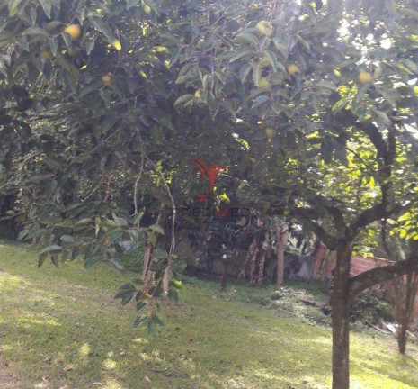 Imagem Casa com 8 Quartos à Venda, 4.949 m² em Campo De Santana - Curitiba