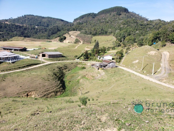 Imóvel à Venda, 27.000 m² em Zona Rural - Alfredo Wagner