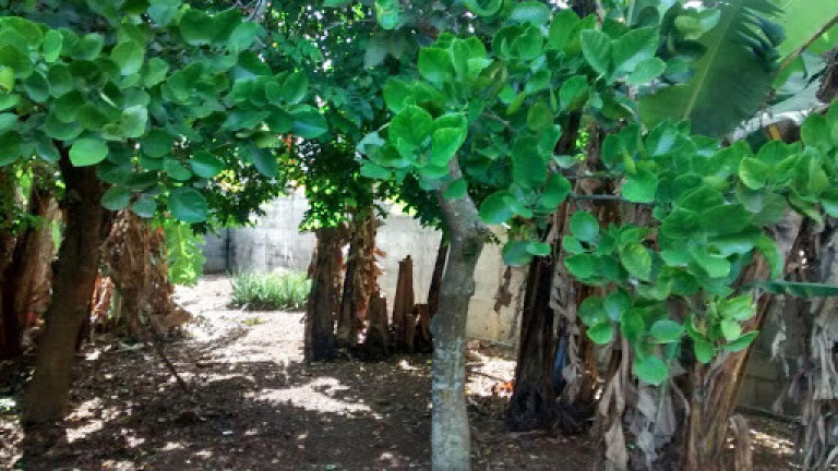 Imagem Casa com 2 Quartos à Venda, 137 m² em Jardim Colonial - São José Dos Campos Imagem Casa com 2 Quartos à Venda, 137 m² em Jardim Colonial - São José Dos Campos