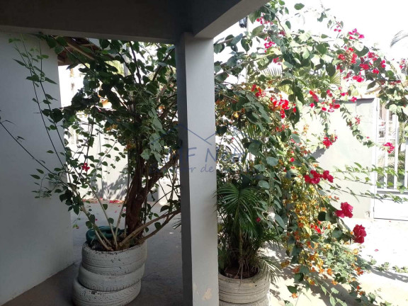 Imagem Casa com 4 Quartos à Venda, 434 m² em Cidade Jardim - Pirassununga