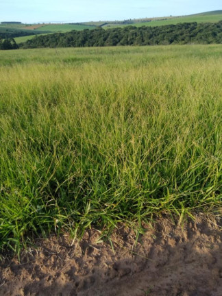 Imagem Chácara à Venda, 45 m² em Rural - Itaberá Imagem Chácara à Venda, 45 m² em Rural - Itaberá