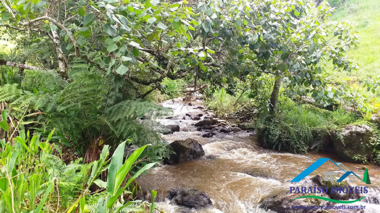 Imagem Chácara à Venda, 7 m² em Centro - Paraisópolis Imagem Chácara à Venda, 7 m² em Centro - Paraisópolis
