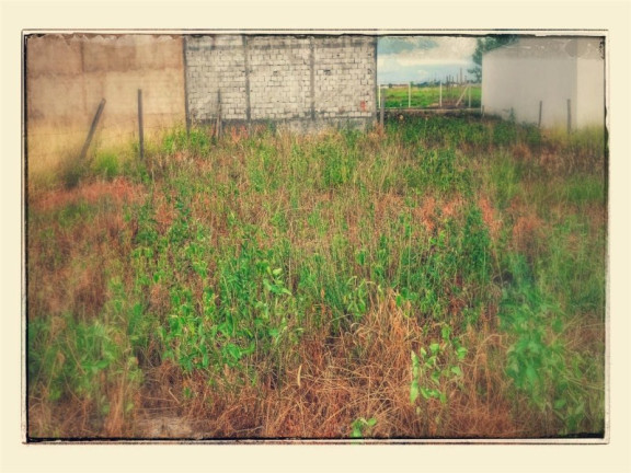 Imagem Terreno à Venda, 300 m² em Jardim Da Balsa I - Americana Imagem Terreno à Venda, 300 m² em Jardim Da Balsa I - Americana