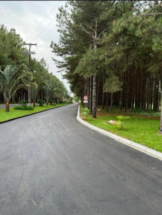 Imagem Terreno à Venda, 1.605 m² em Boa Vista Da Aparecida Imagem Terreno à Venda, 1.605 m² em Boa Vista Da Aparecida