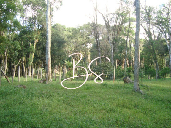 Imagem Terreno à Venda, 50.000 m² em Linha Bonita - Gramado Imagem Terreno à Venda, 50.000 m² em Linha Bonita - Gramado