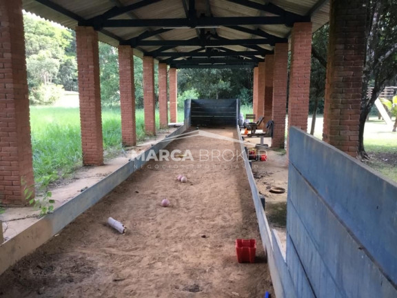 Imagem Chácara com 3 Quartos à Venda, em área Rural De Itapetininga - Itapetininga Imagem Chácara com 3 Quartos à Venda, em área Rural De Itapetininga - Itapetininga