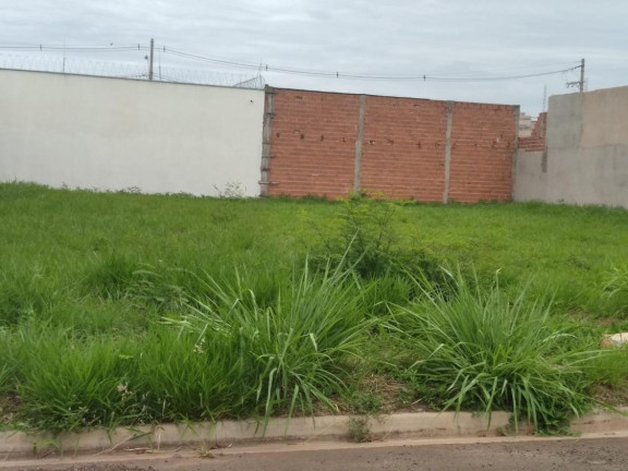 Imagem Terreno à Venda, 250 m² em Parque São Matheus - Piracicaba Imagem Terreno à Venda, 250 m² em Parque São Matheus - Piracicaba