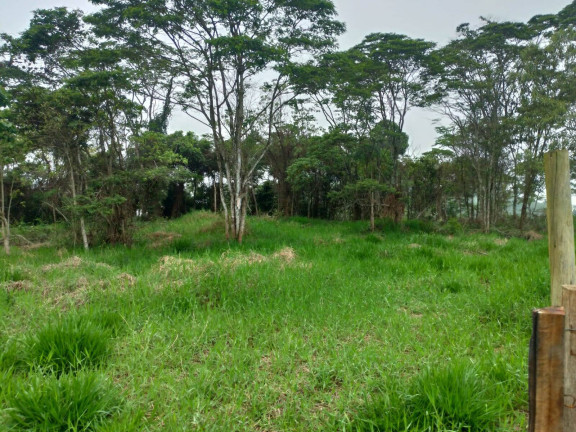 Imagem Terreno à Venda, em Ipiabas - Barra Do Piraí Imagem Terreno à Venda, em Ipiabas - Barra Do Piraí