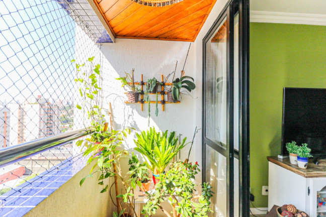 Imagem Apartamento com 2 Quartos à Venda, 70 m² em Vila Ipojuca - São Paulo Imagem Apartamento com 2 Quartos à Venda, 70 m² em Vila Ipojuca - São Paulo