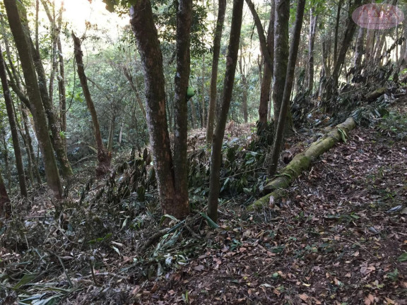 Terreno à Venda, 1.327 m² em Pilar Velho - Ribeirão Pires