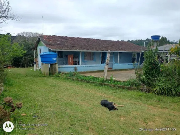 Imóvel com 4 Quartos à Venda, 22.000 m² em Areia Branca Dos Assis - Mandirituba