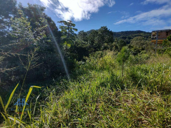 Imagem Terreno à Venda, 638 m² em Itacorubi - Florianópolis