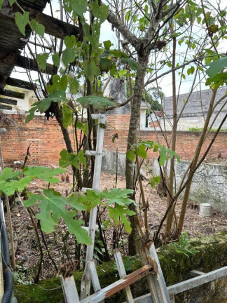 Imagem Casa com 3 Quartos à Venda, 90 m² em Rebouças - Curitiba
