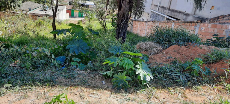 Imagem Terreno à Venda, 360 m² em Santa Cecília - Esmeraldas Imagem Terreno à Venda, 360 m² em Santa Cecília - Esmeraldas