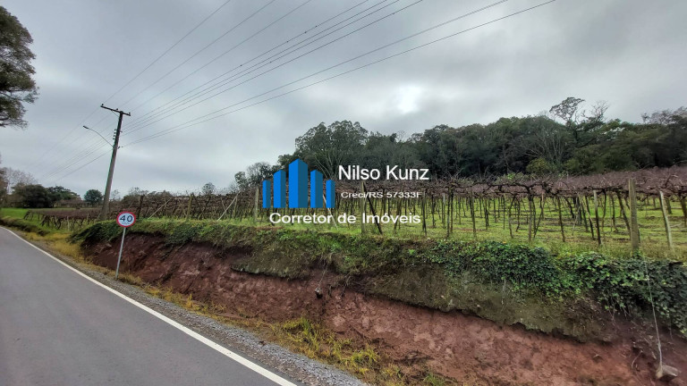 Imagem Chácara à Venda, 34.218 m² em Garibaldi