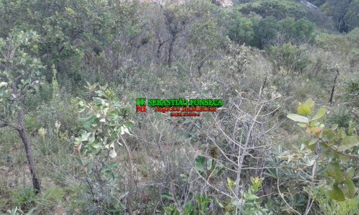 Imagem Terreno à Venda, 15.825 m² em Jardim Santa Júlia - São José Dos Campos Imagem Terreno à Venda, 15.825 m² em Jardim Santa Júlia - São José Dos Campos