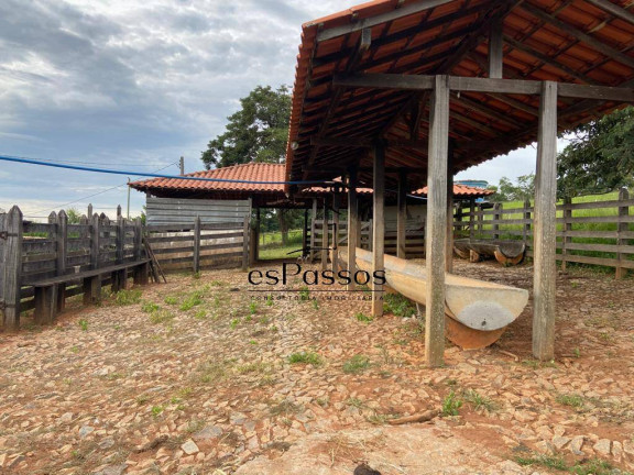 Imagem Fazenda à Venda, 110.000 m² em Cachoeira De Almas - Florestal Imagem Fazenda à Venda, 110.000 m² em Cachoeira De Almas - Florestal