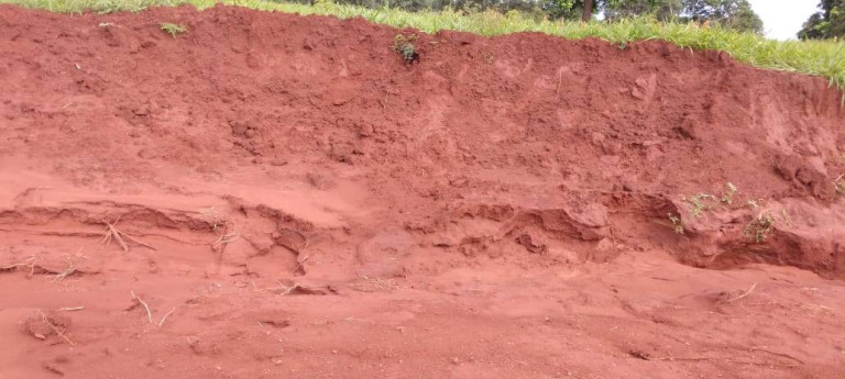 Imagem Fazenda à Venda, 121 m² em Zona Rural - Montes Claros De Goiás