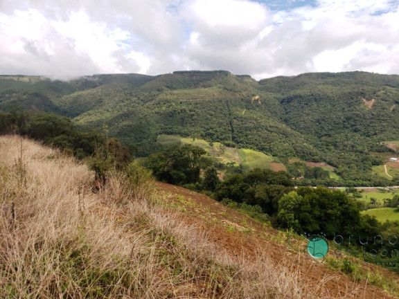 Imagem Imóvel com 1 Quarto à Venda, 60.000 m² em Zona Rural - Alfredo Wagner