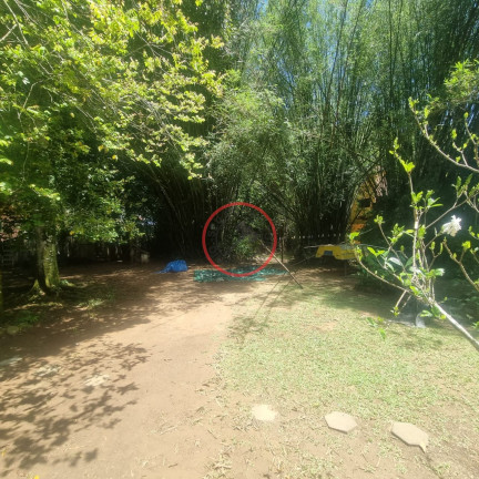 Imagem Casa com 2 Quartos à Venda, 237 m² em Boiçucanga - São Sebastião