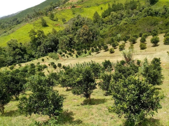 Imagem Imóvel com 2 Quartos à Venda, 51.700 m² em Centro - Cerro Azul