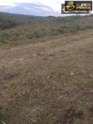 Imagem Imóvel com 2 Quartos à Venda, 4.140.000 m² em Centro - Piratini