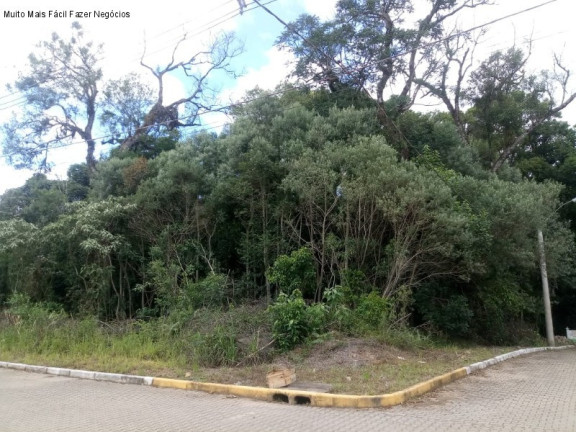 Terreno à Venda, 506 m² em Juriti - Nova Petrópolis