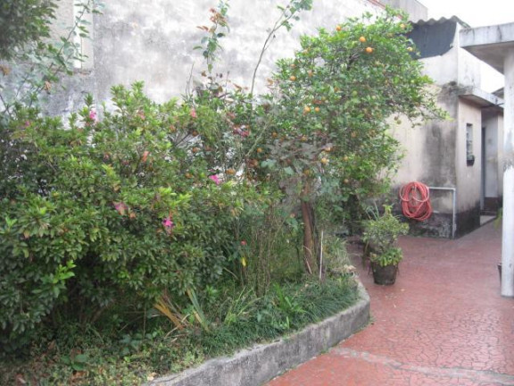 Imagem Casa com 2 Quartos à Venda, 120 m² em Osvaldo Cruz - São Caetano Do Sul Imagem Casa com 2 Quartos à Venda, 120 m² em Osvaldo Cruz - São Caetano Do Sul
