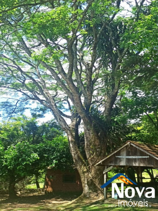 Imagem Imóvel à Venda,  em Linha Pirajá - Nova Petrópolis