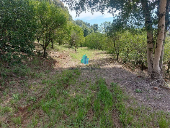 Imagem Terreno à Venda, 109.312 m² em Linha Tiradentes - Veranópolis