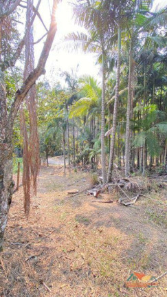 Imagem Terreno à Venda, 5.300 m² em Espírito Santo - Paraibuna Imagem Terreno à Venda, 5.300 m² em Espírito Santo - Paraibuna