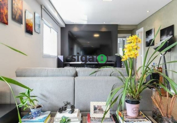Imagem Apartamento com 1 Quarto à Venda, 130 m² em Vila Suzana - São Paulo Imagem Apartamento com 1 Quarto à Venda, 130 m² em Vila Suzana - São Paulo