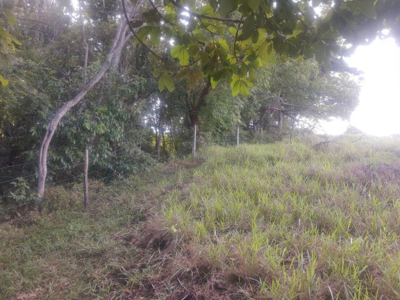 Imagem Apartamento com 20 Quartos à Venda, 38.000 m² em área Rural De Cidade Ocidental - Cidade Ocidental