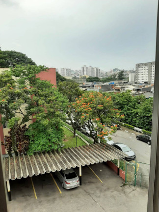 Imagem Apartamento com 2 Quartos à Venda, 50 m² em Jardim Patente - São Paulo Imagem Apartamento com 2 Quartos à Venda, 50 m² em Jardim Patente - São Paulo