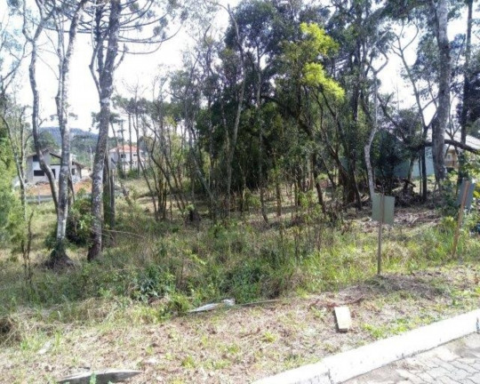 Imagem Imóvel à Venda, 821 m² em Vila Germânia - Nova Petrópolis