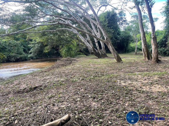 Imagem Fazenda à Venda, 62 m² em Zona Rural - São Francisco De Goiás Imagem Fazenda à Venda, 62 m² em Zona Rural - São Francisco De Goiás